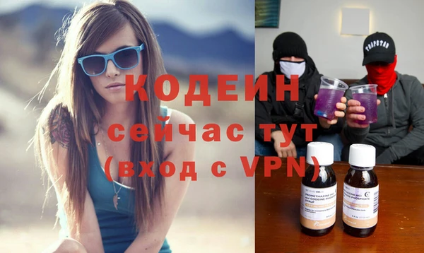 apvp Инсар