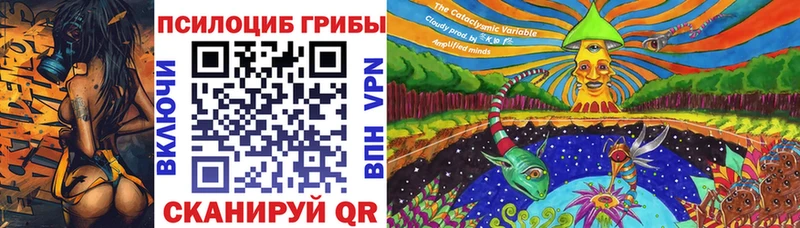 Купить закладки  Кузнецк  Псилоцибиновые грибы Psilocybine cubensis 